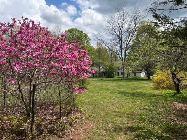 296 Main Street Property Photo 41