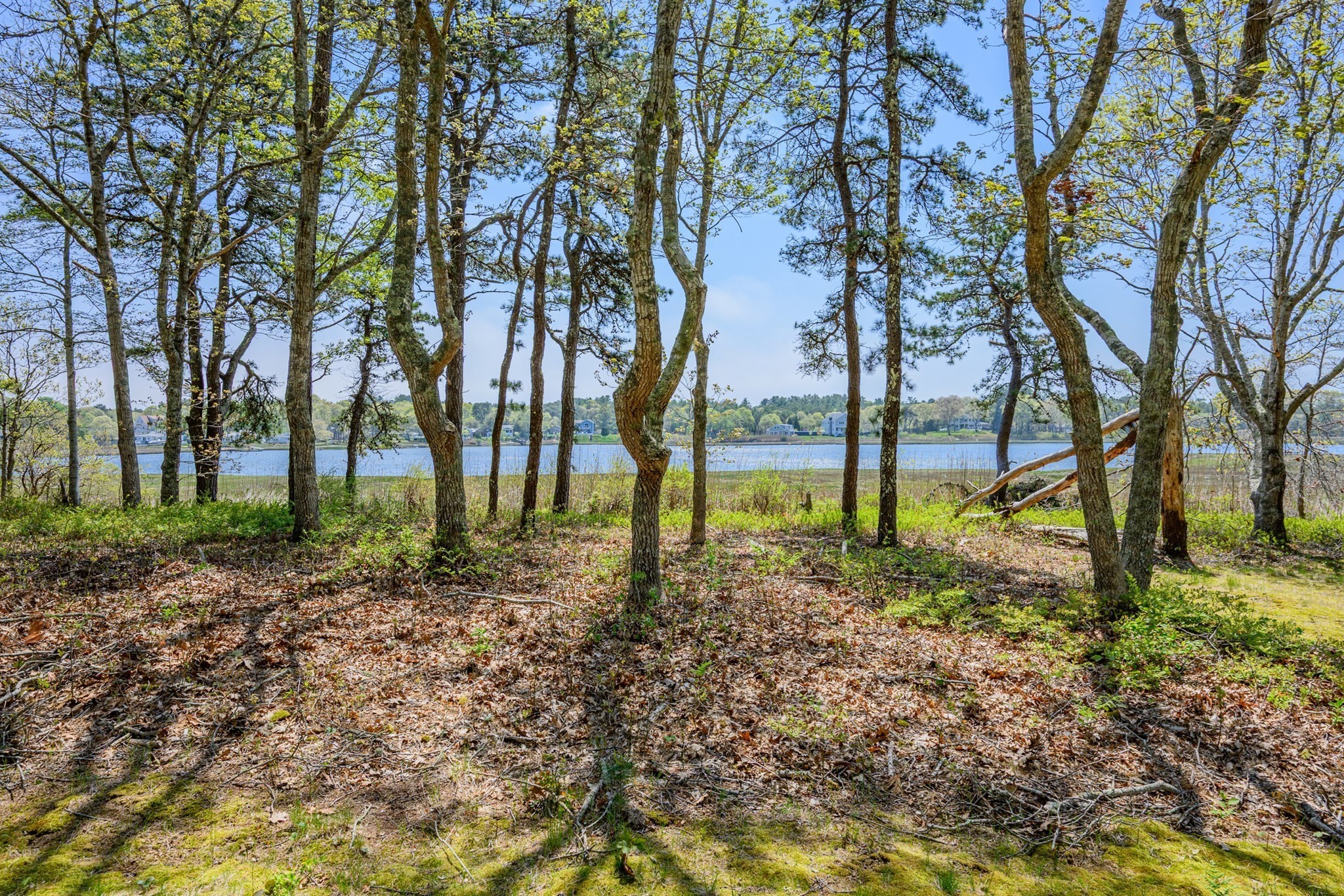66 Squaws Path Property Photo 36