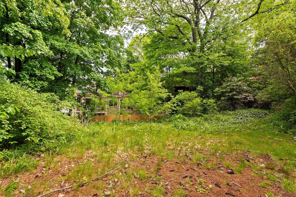 212 Chestnut Ave Property Photo 23