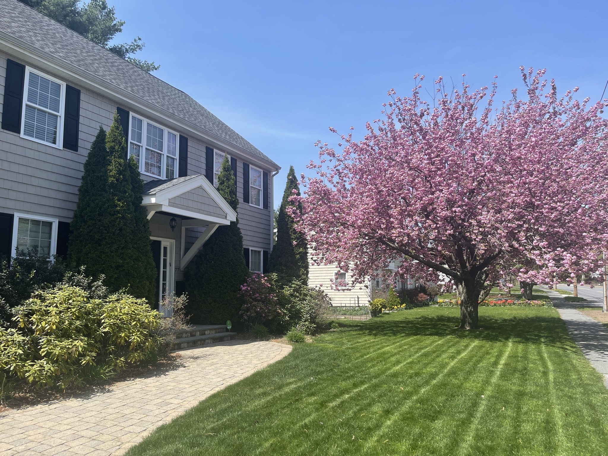 77 Cedar Street Property Photo 2