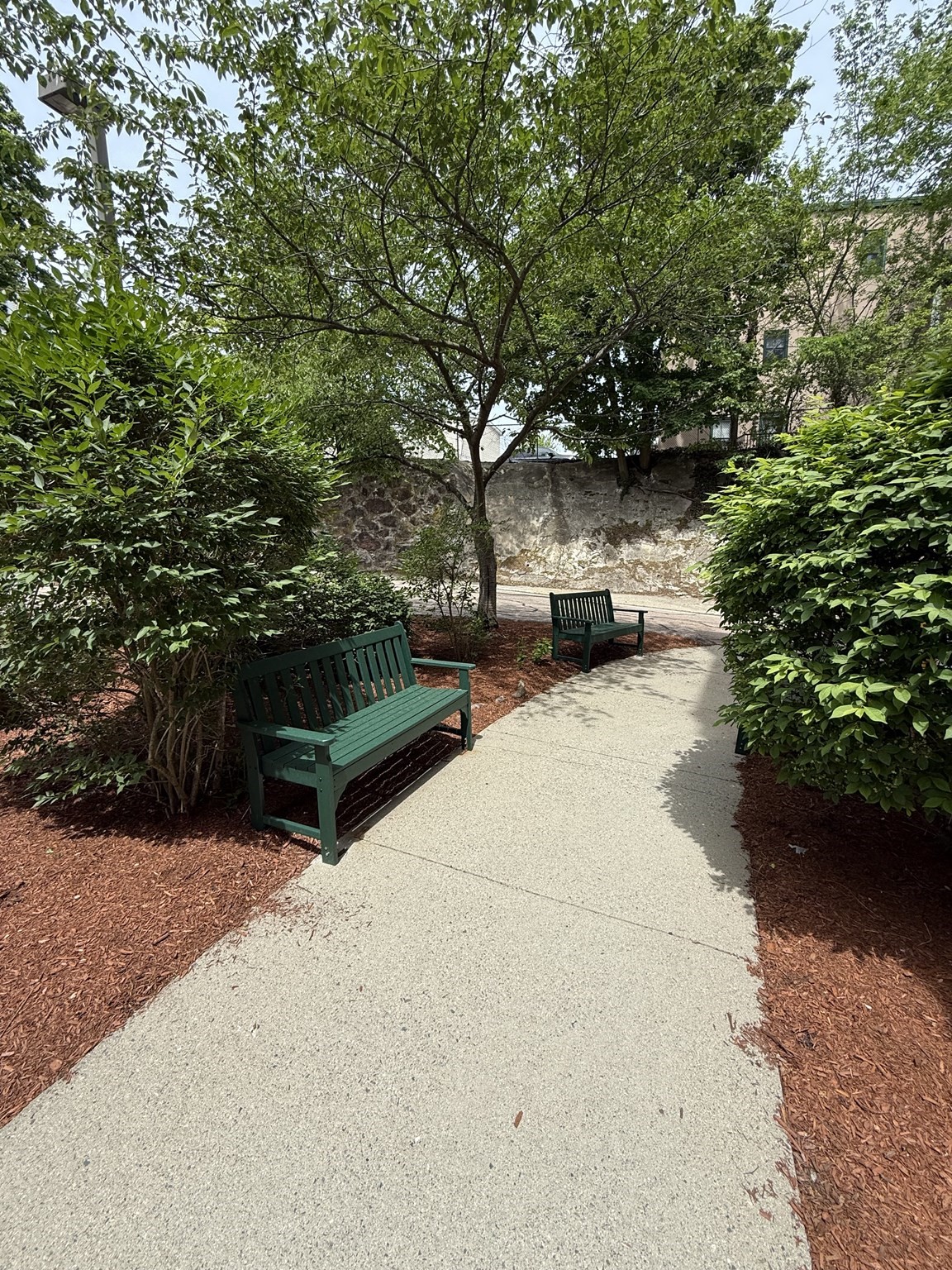 414 Mount Hope St # 104 Property Photo 19