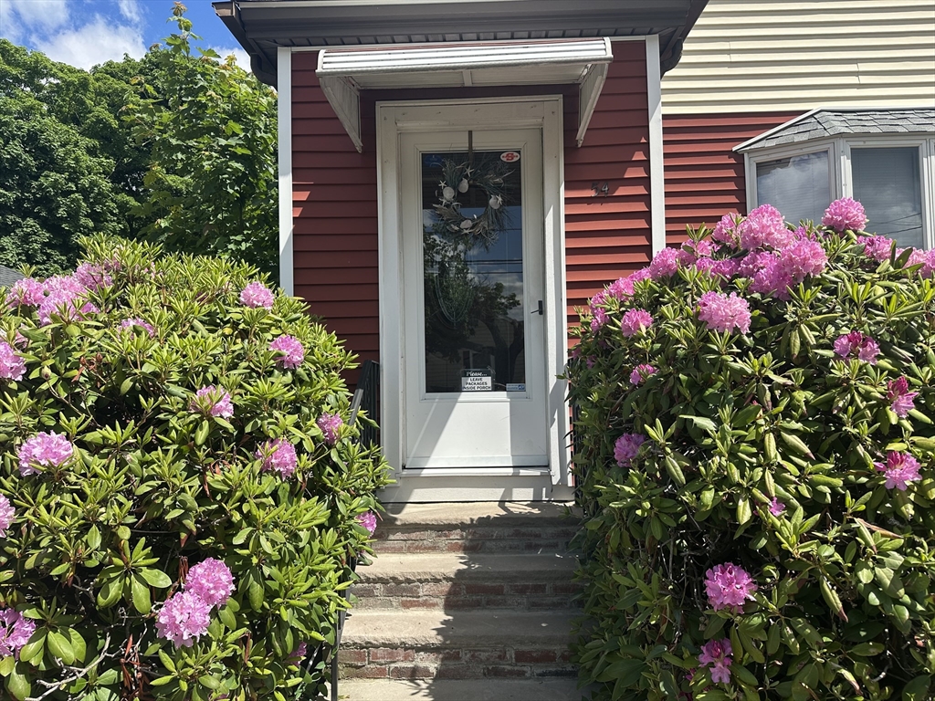 54 Dudley Street Property Photo 3