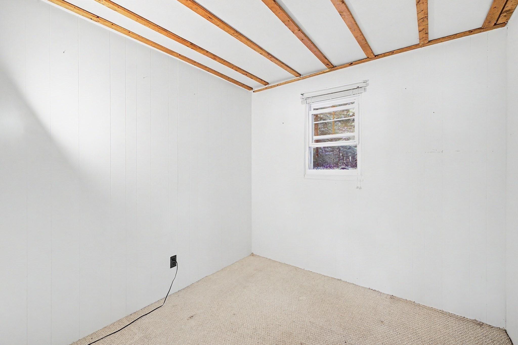 54 Bray Rd Property Photo 11