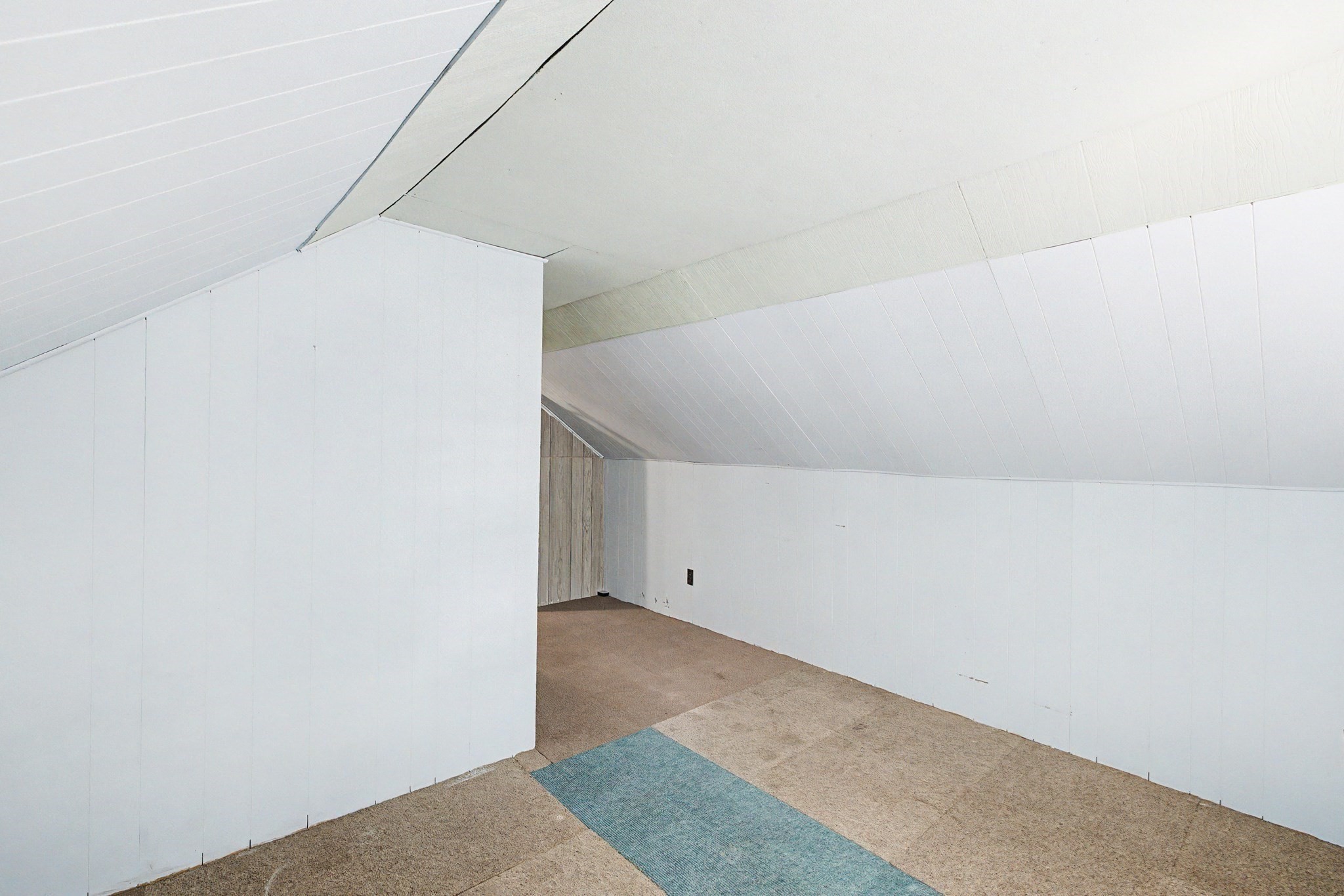 54 Bray Rd Property Photo 18
