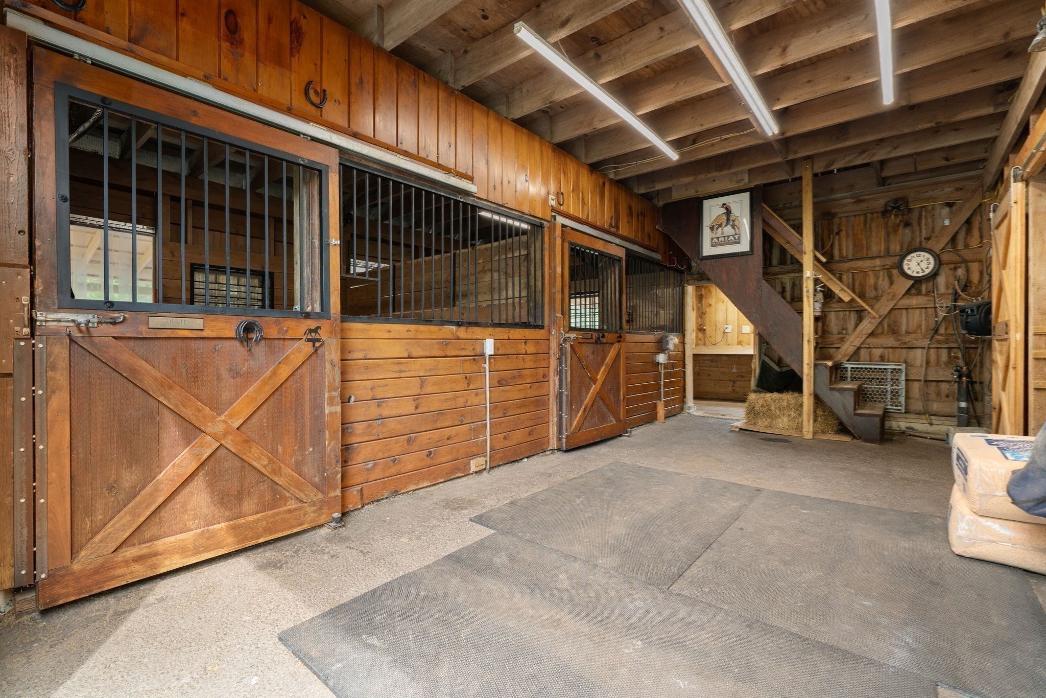 17 Leonard St Property Photo 33