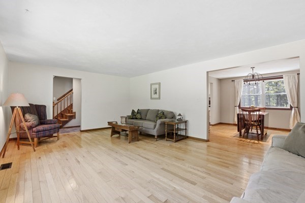 43 Lackey St Property Photo 15