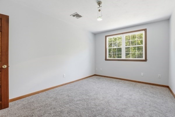 43 Lackey St Property Photo 27