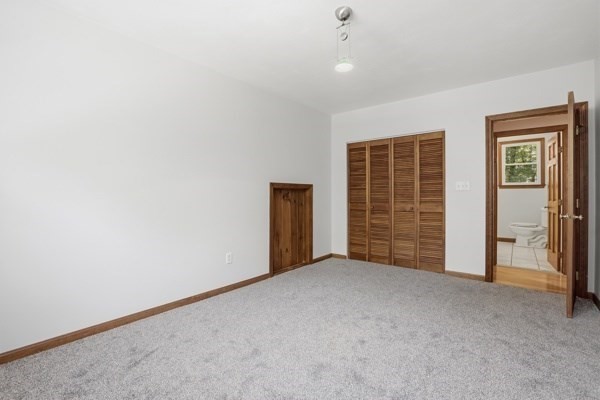 43 Lackey St Property Photo 28