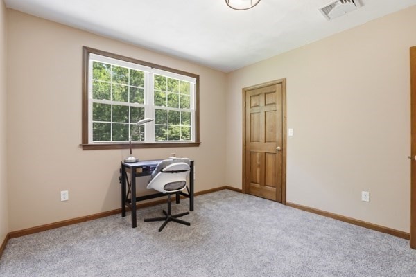 43 Lackey St Property Photo 30