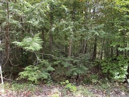 Lot 7&8 Little John Property Photo 1