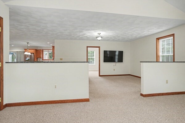 111 Chestnut St Property Photo 21