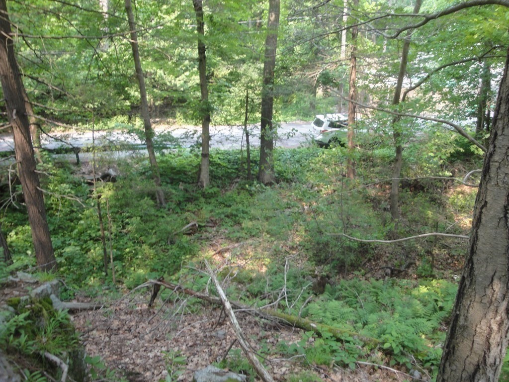 195 &197 Greenwood Avenue Property Photo 1