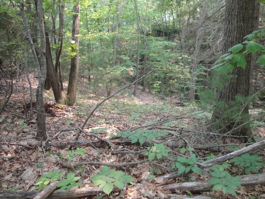 195 &197 Greenwood Avenue Property Photo 2