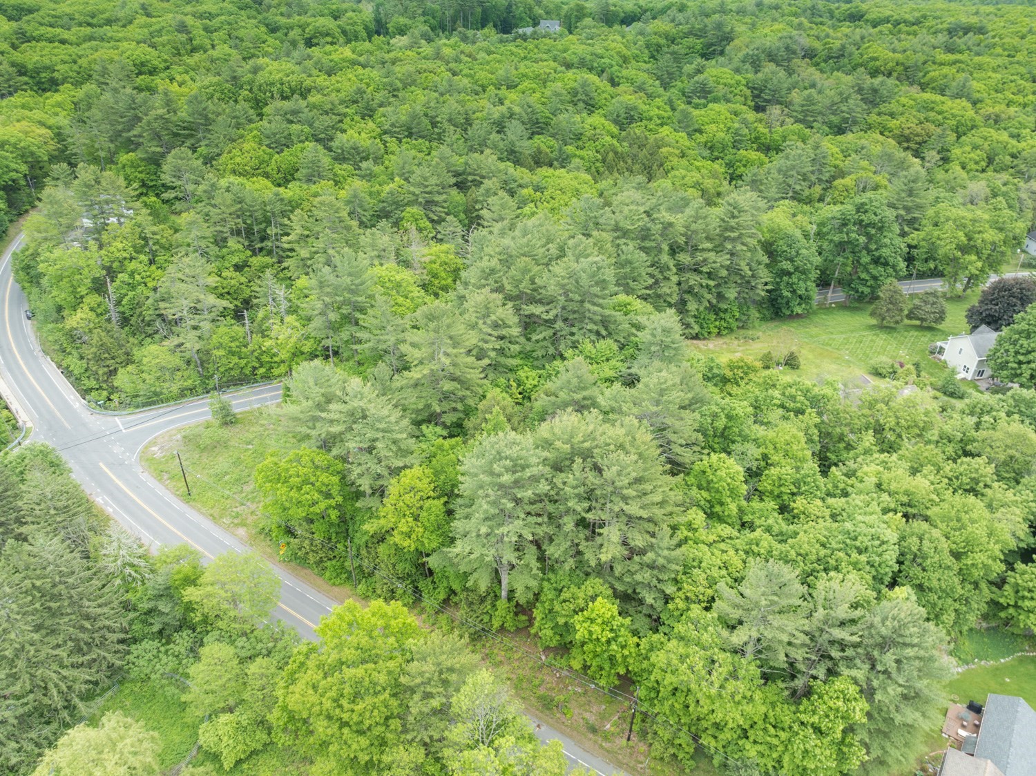 1467 Westhampton Rd Property Photo 3