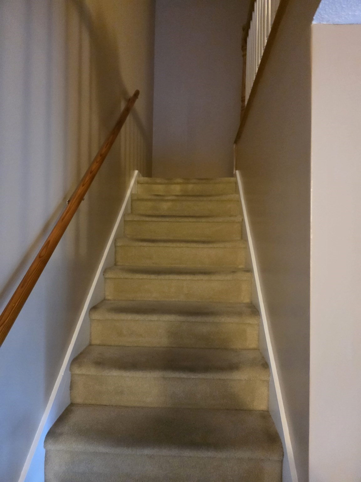 206 Greenbrook Dr # 206 Property Photo 11