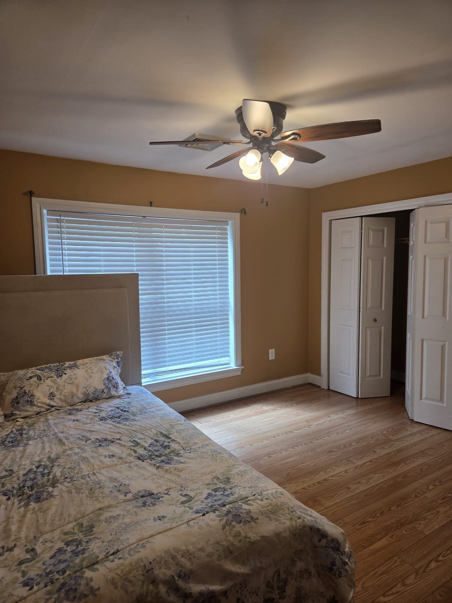 4 Panarelli Way Property Photo 31