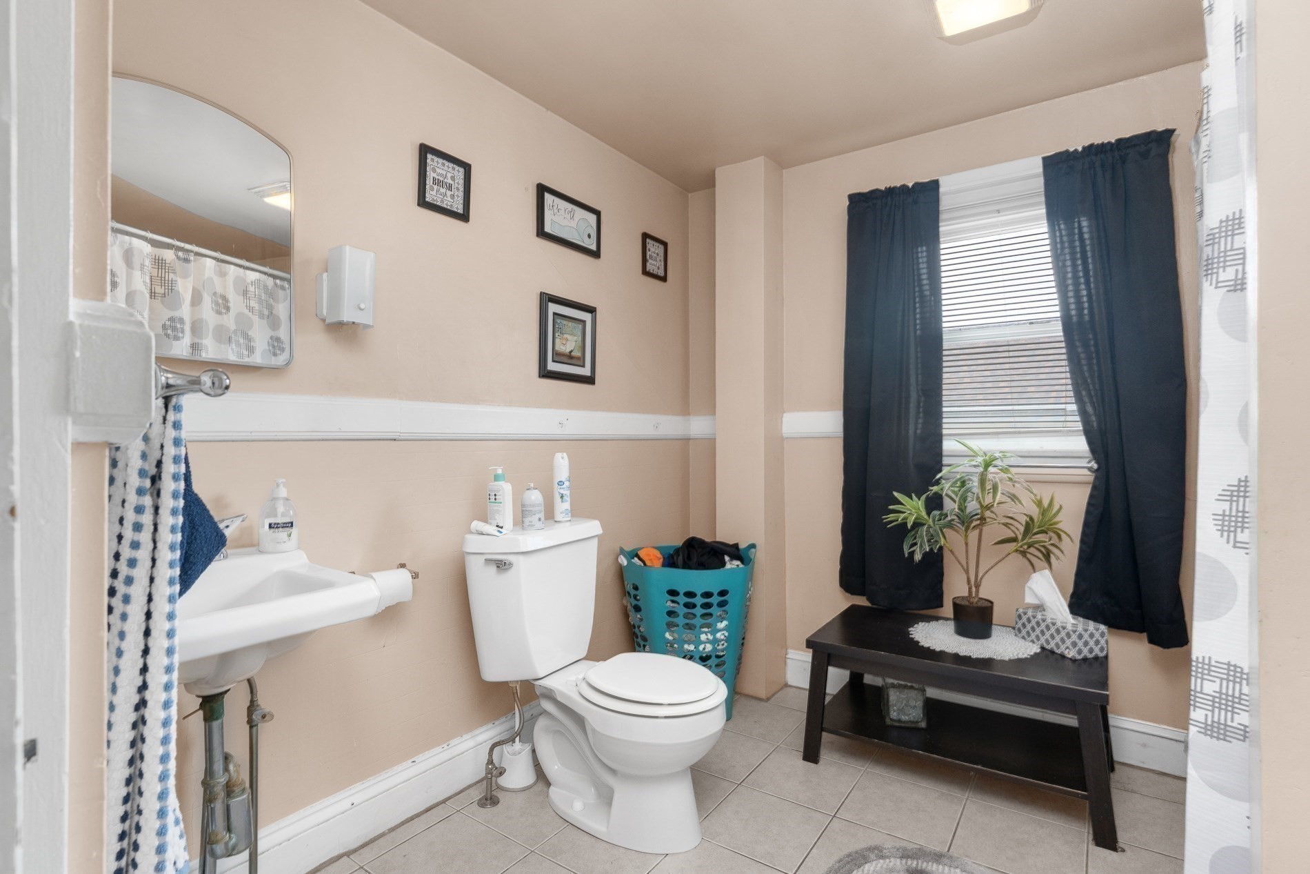 21 25 27 Pike Street Property Photo 35