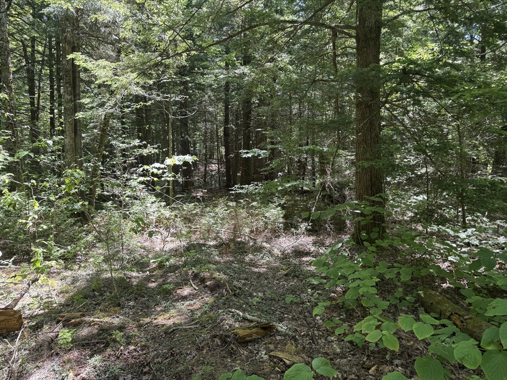 0 Old Stage Rd Property Photo 2