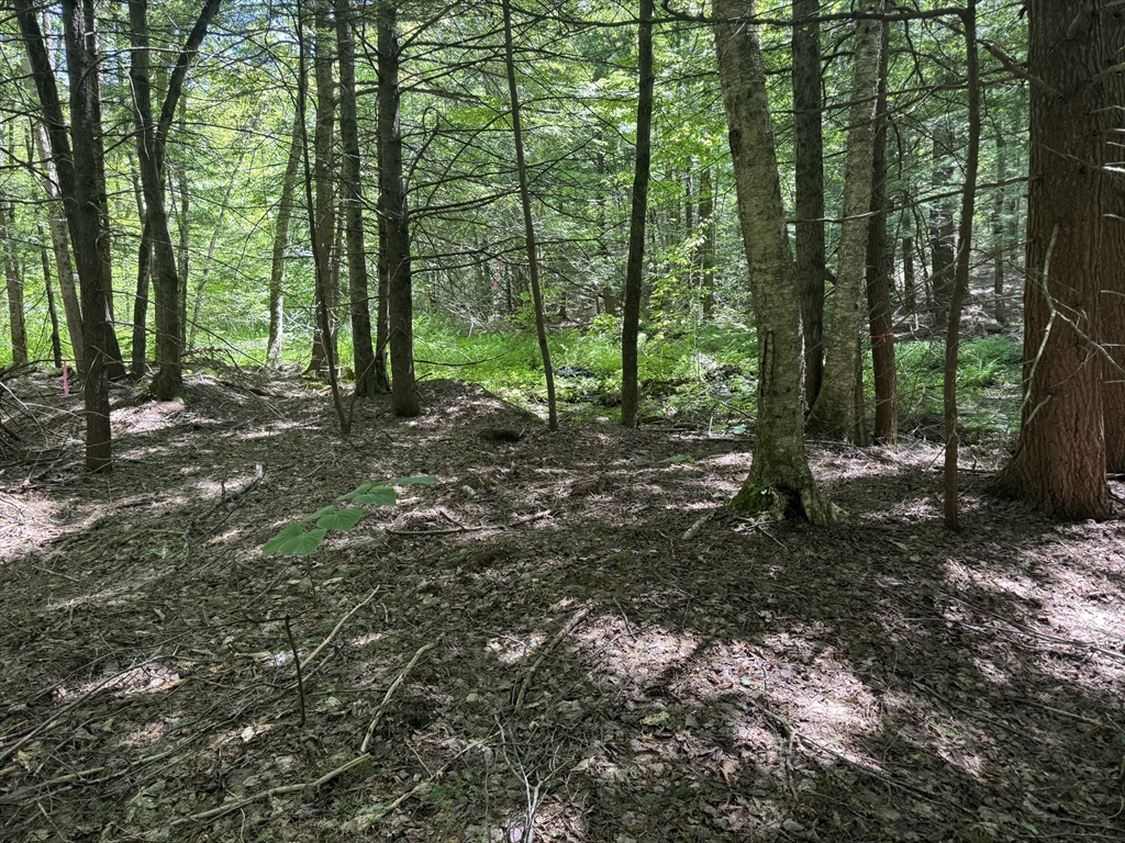 0 Old Stage Rd Property Photo 3