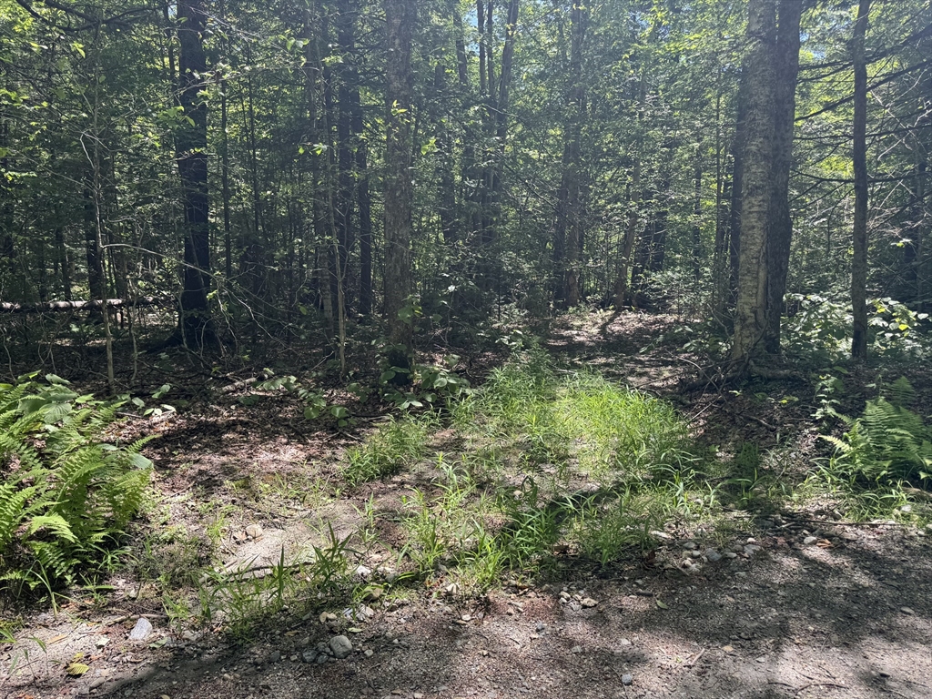 0 Old Stage Rd Property Photo 5