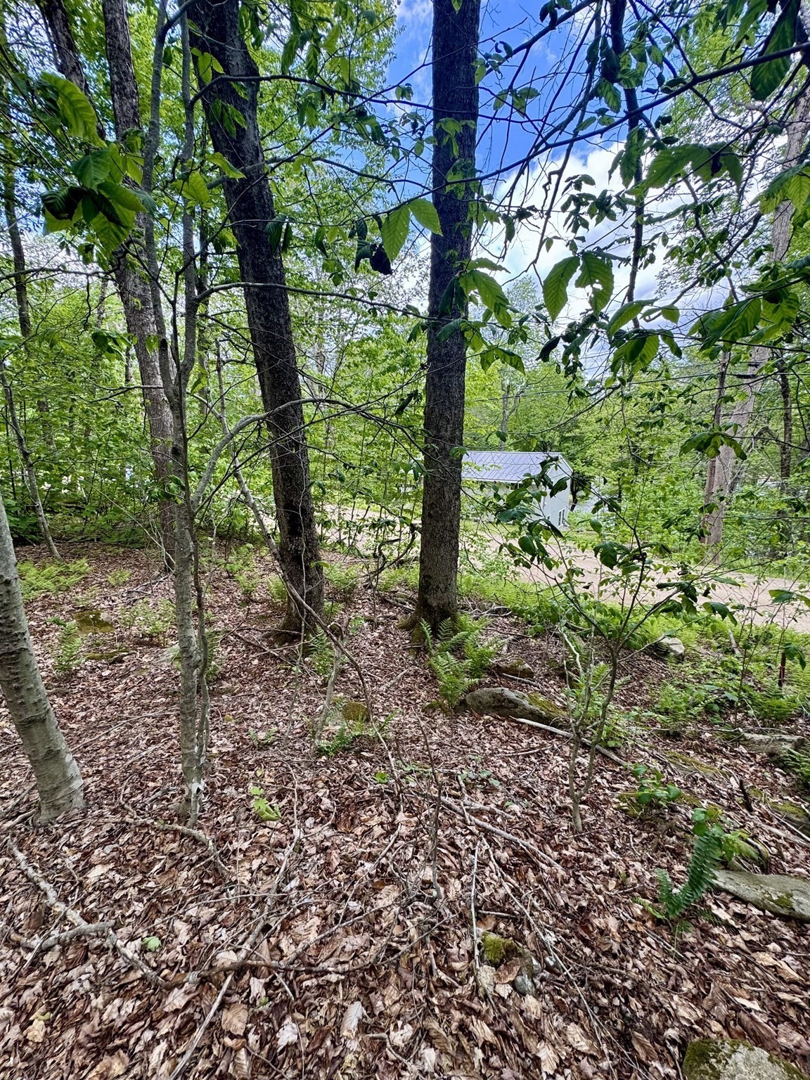 Lot 273 King Richard Dr Property Photo 1