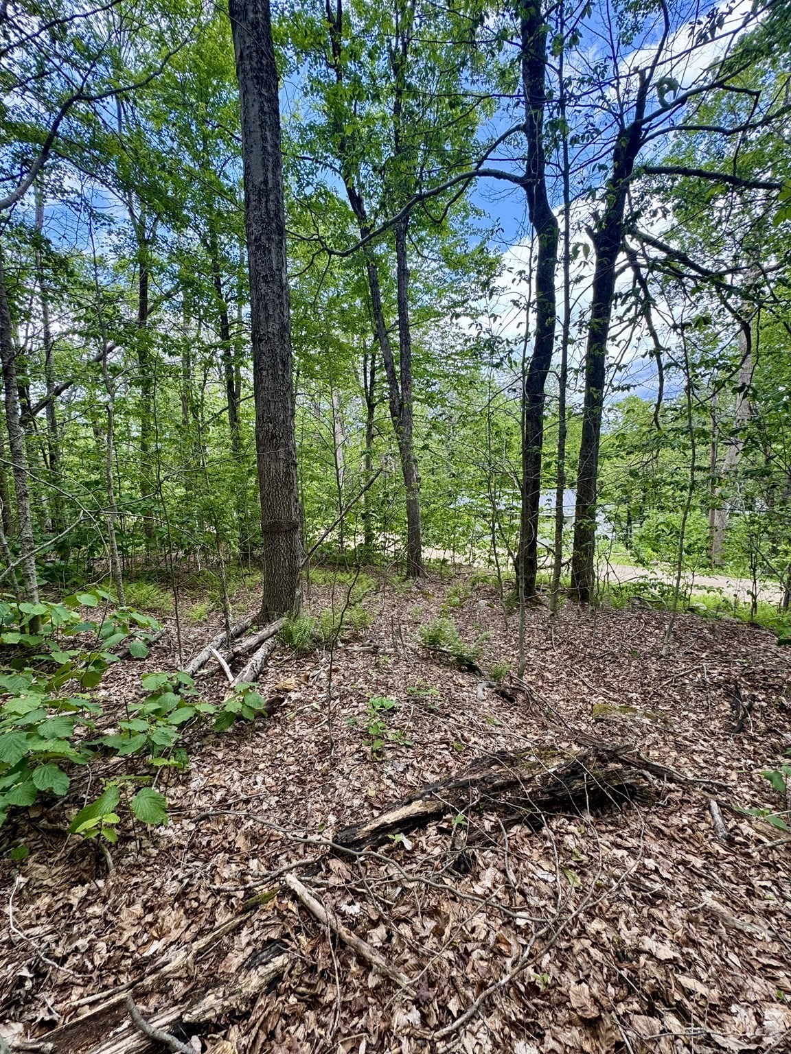 Lot 273 King Richard Dr Property Photo 6