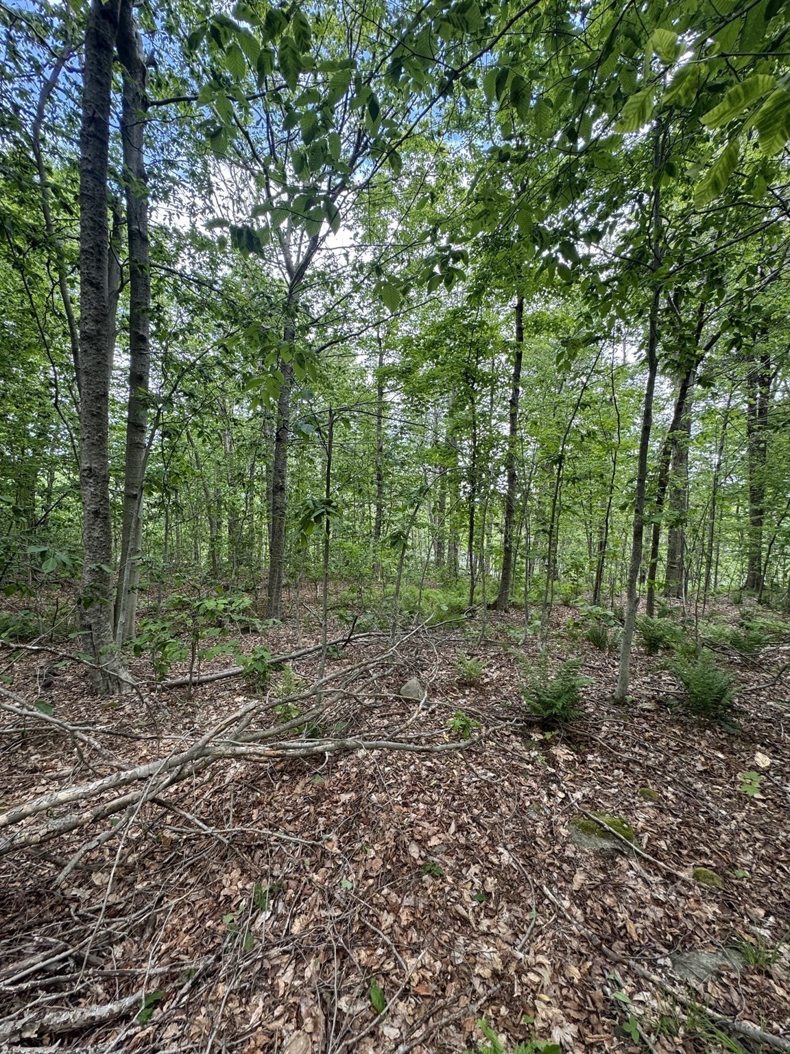 Lot 273 King Richard Dr Property Photo 12