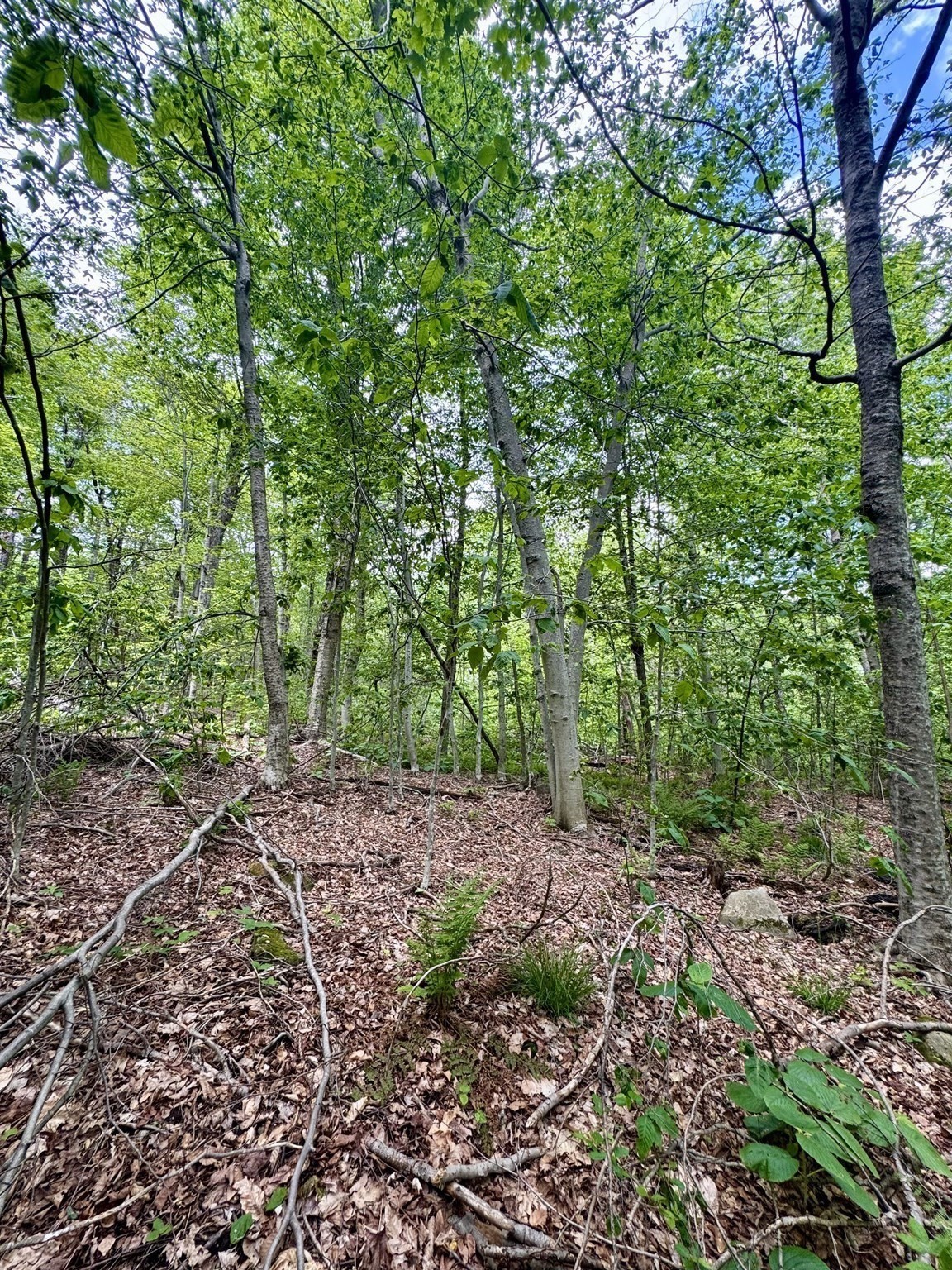 Lot 273 King Richard Dr Property Photo 15