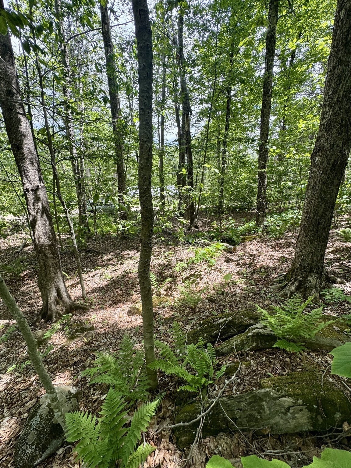 Lot 273 King Richard Dr Property Photo 23
