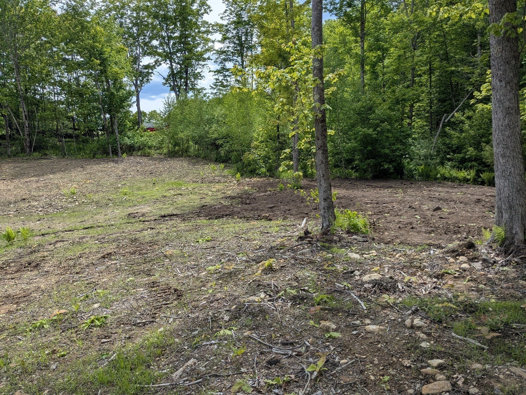 Lot 5a Old Colony Rd Property Photo 5