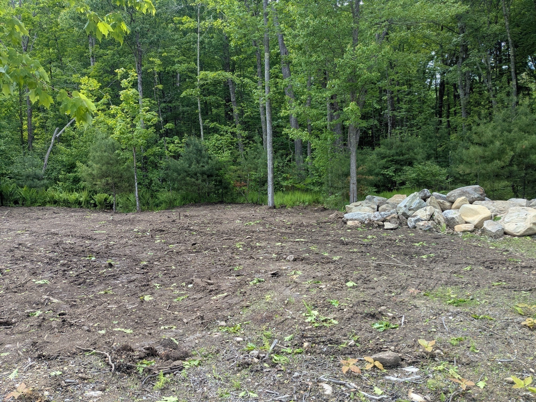 53 Old Colony Rd Property Photo 5