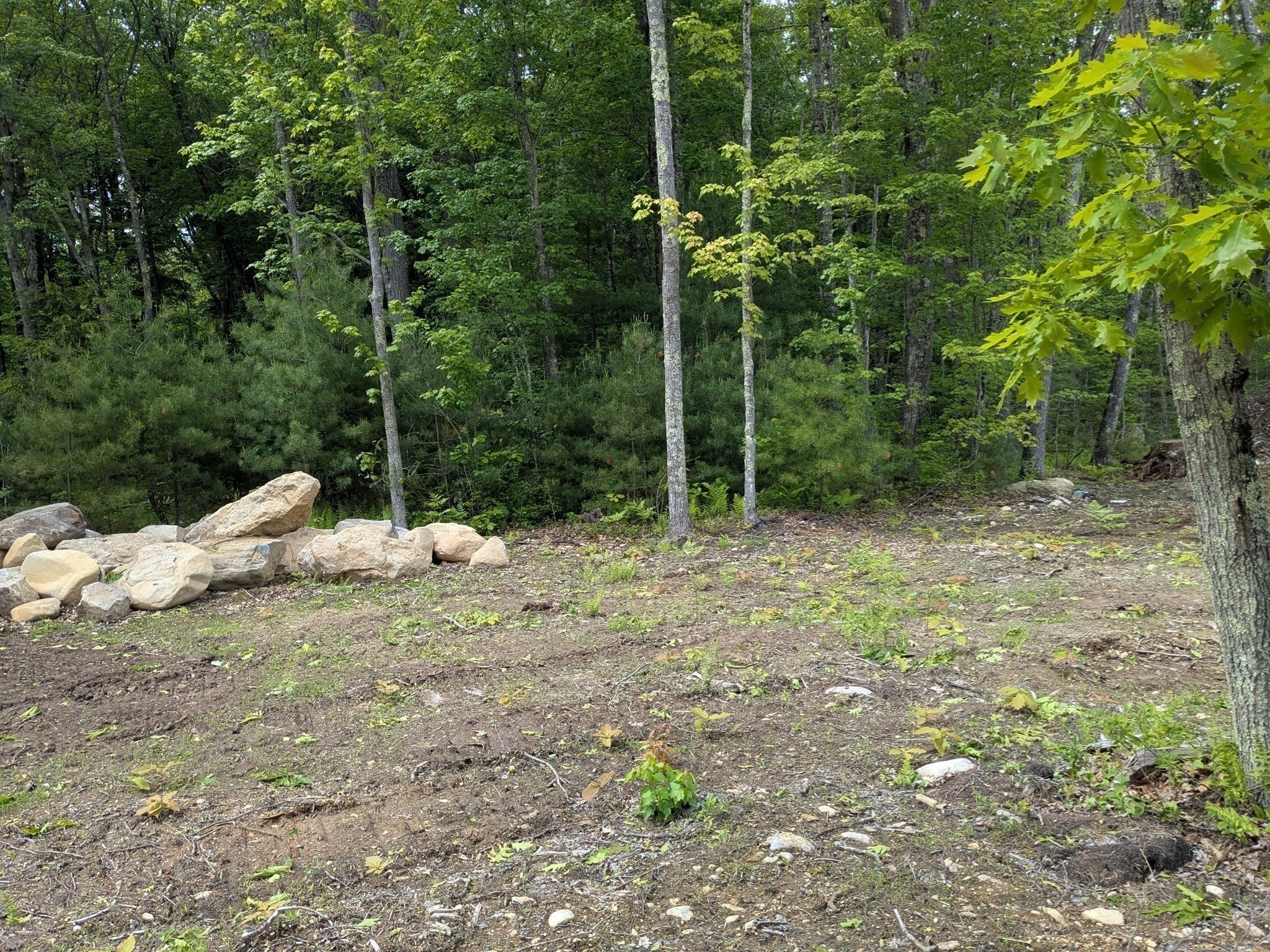 Lot 6a Old Colony Rd Property Photo 4