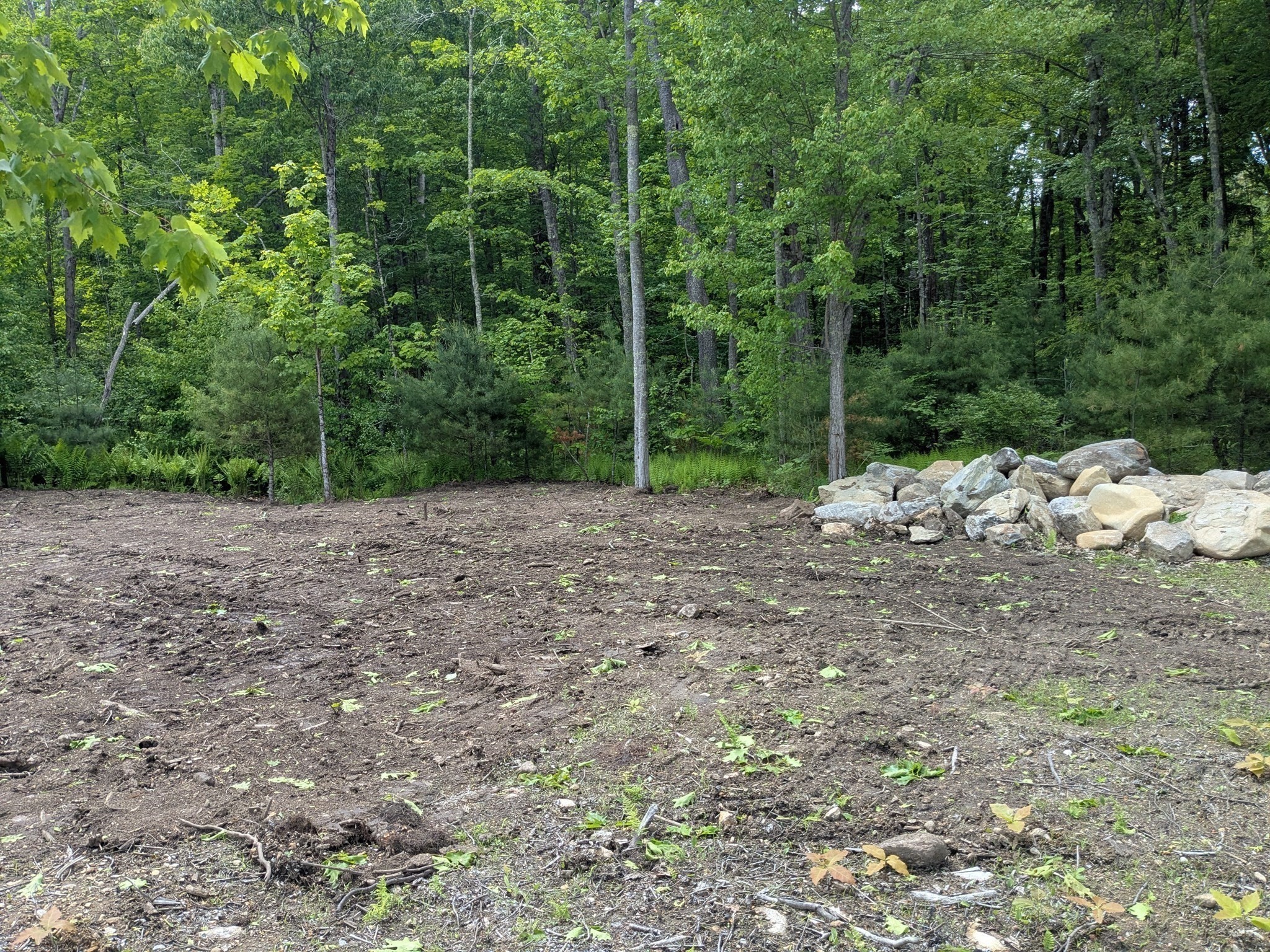 Lot 6a Old Colony Rd Property Photo 5