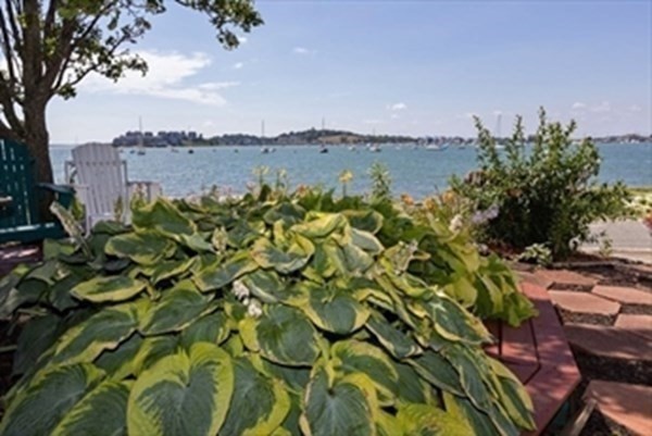 158 Cadish Ave Property Photo 16