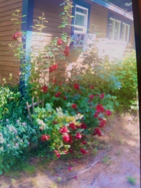 30 Crest Ave Property Photo 31