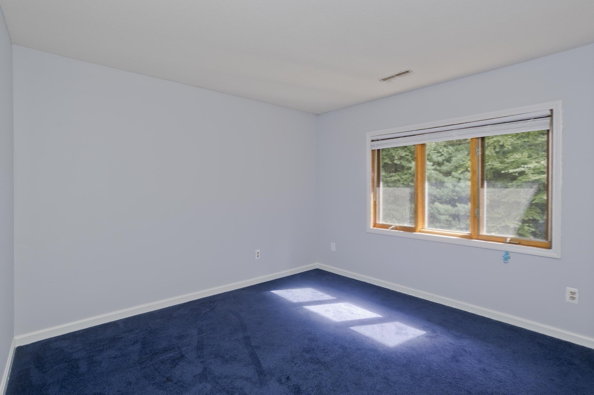 55 Shaw St. Property Photo 30