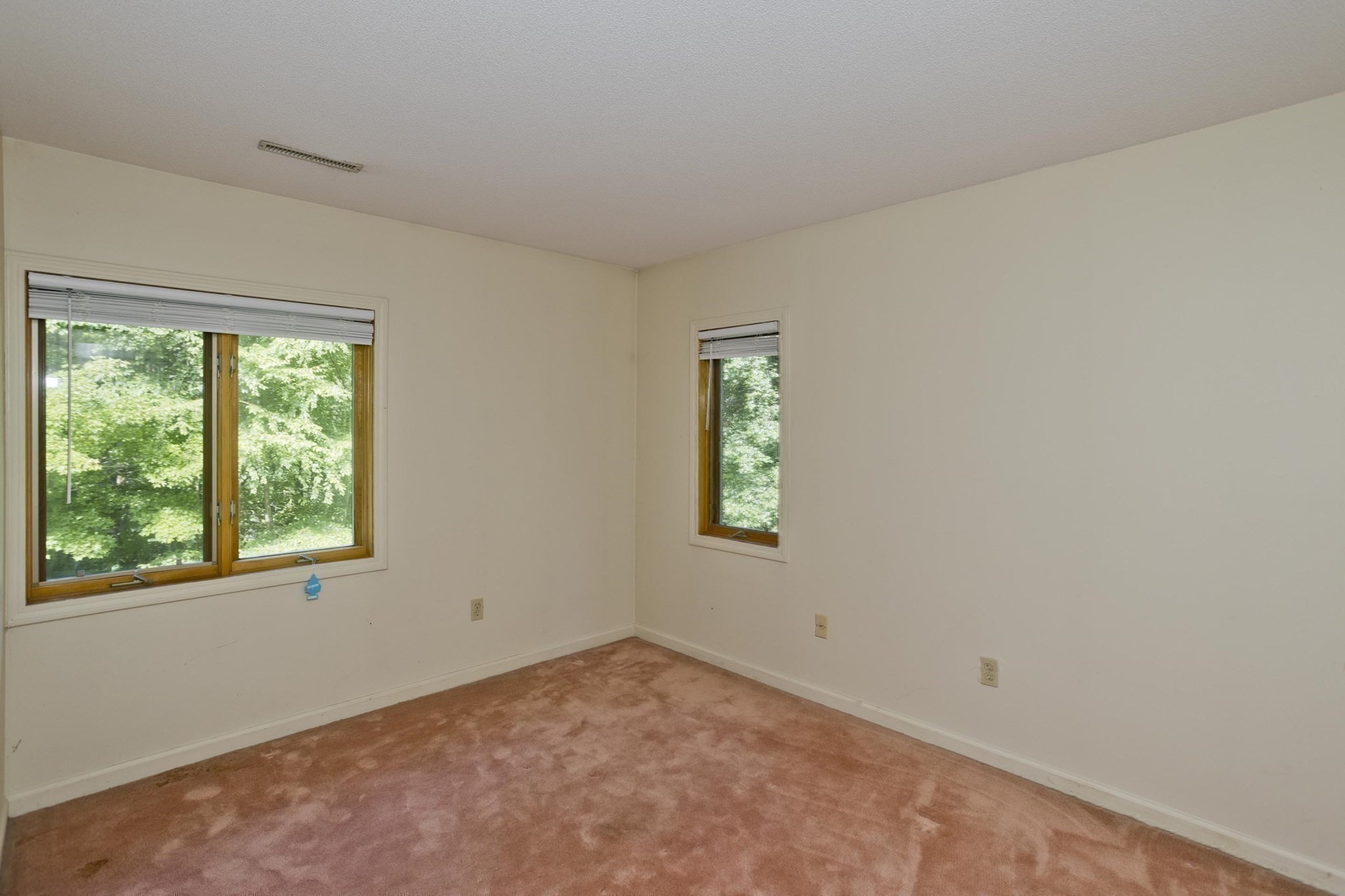 55 Shaw St. Property Photo 31