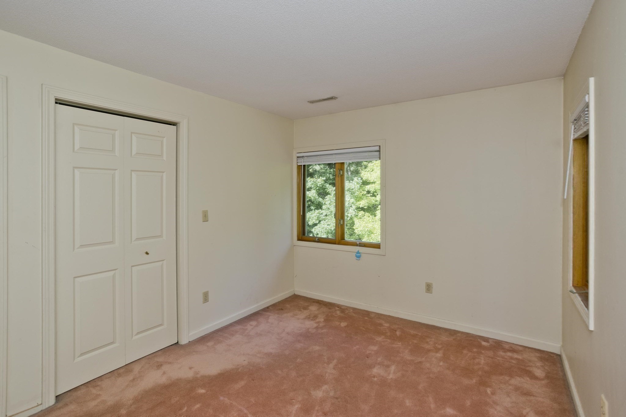 55 Shaw St. Property Photo 32