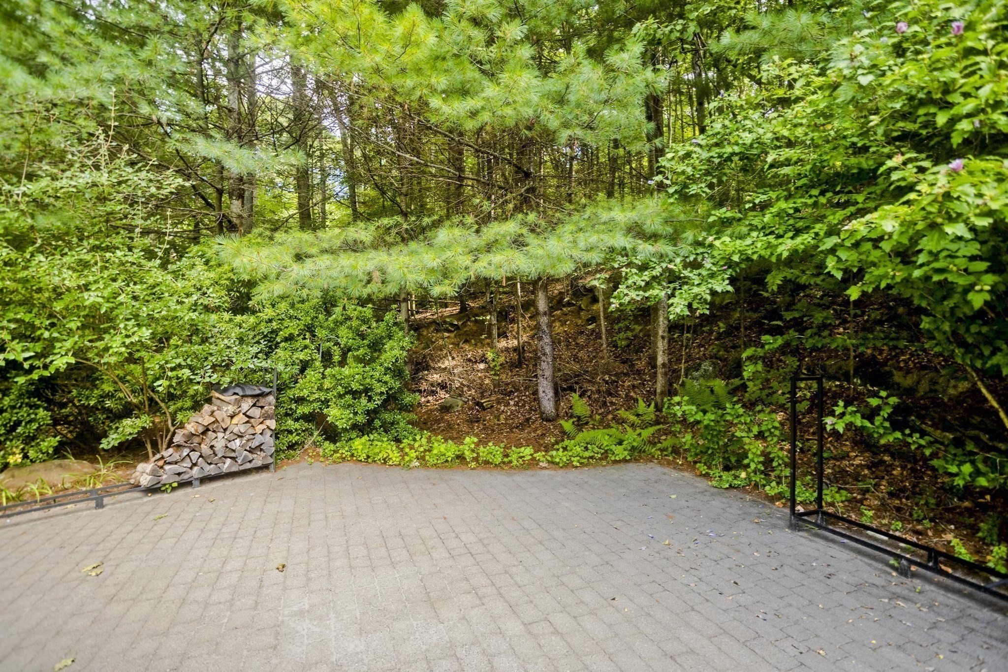 55 Shaw St. Property Photo 40