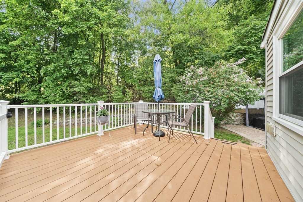 36 Ellis Street Property Photo 40
