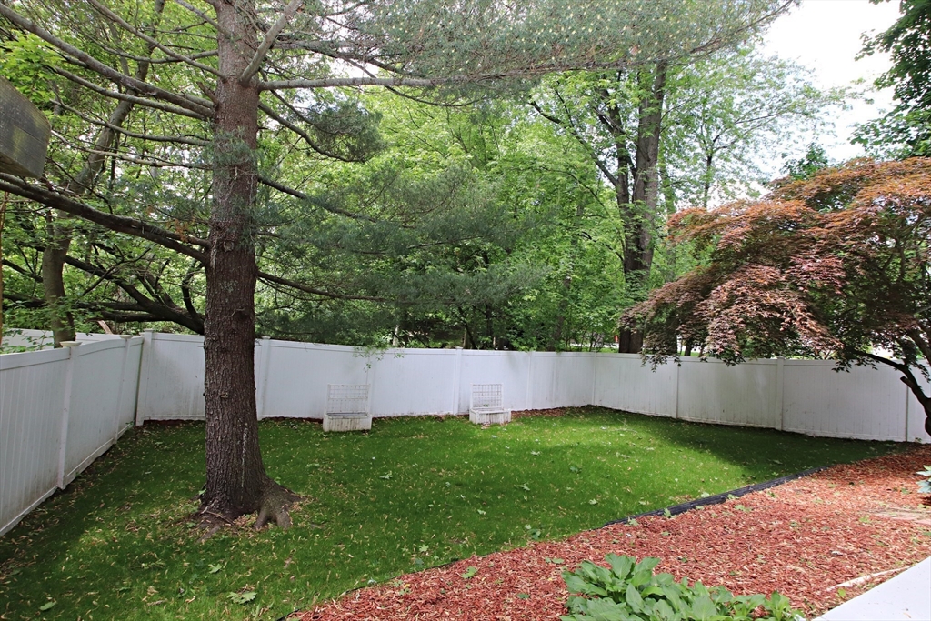 19 Juliette Rd. Property Photo 31