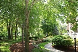 4d Forge Pond # D Property Photo 38