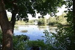 4d Forge Pond # D Property Photo 39