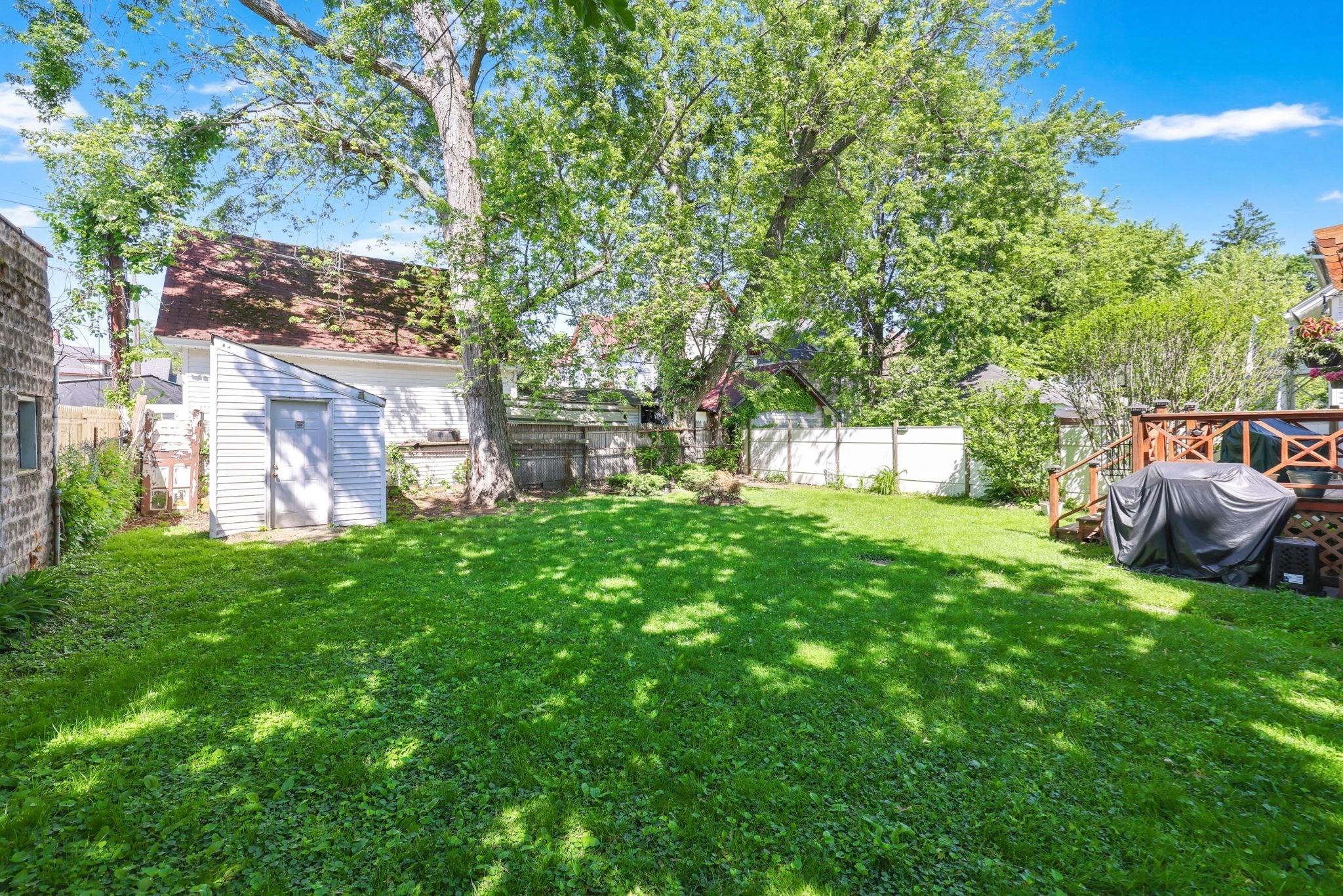 14 Herman St Property Photo 41