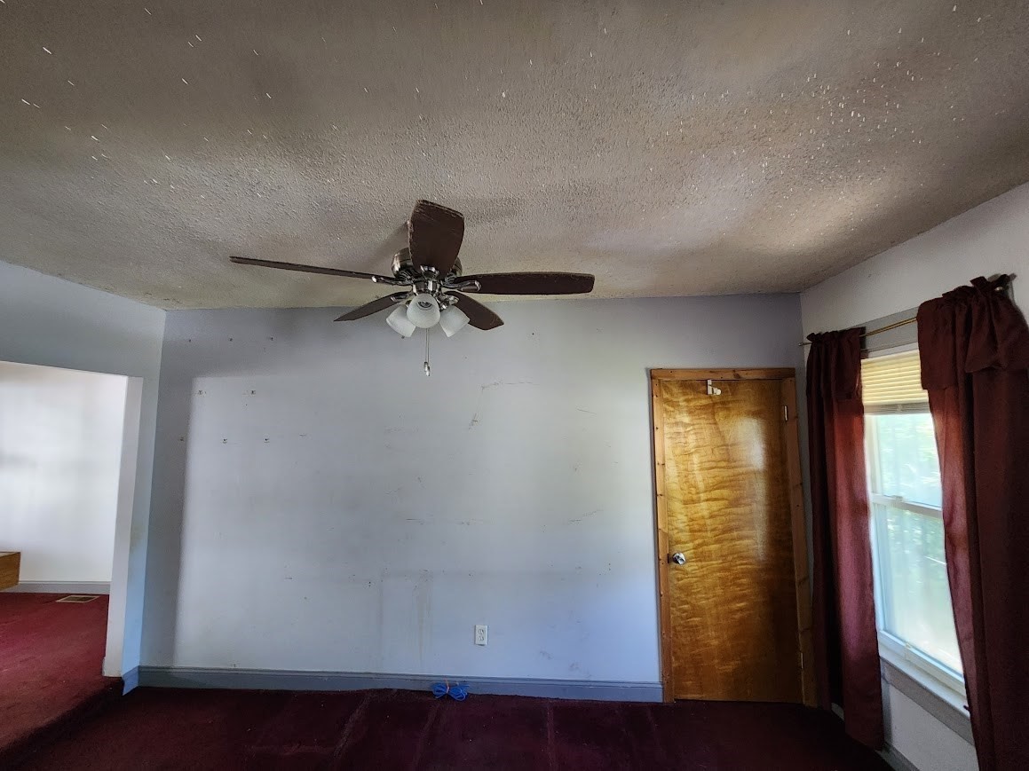 156 Grattan St Property Photo 15
