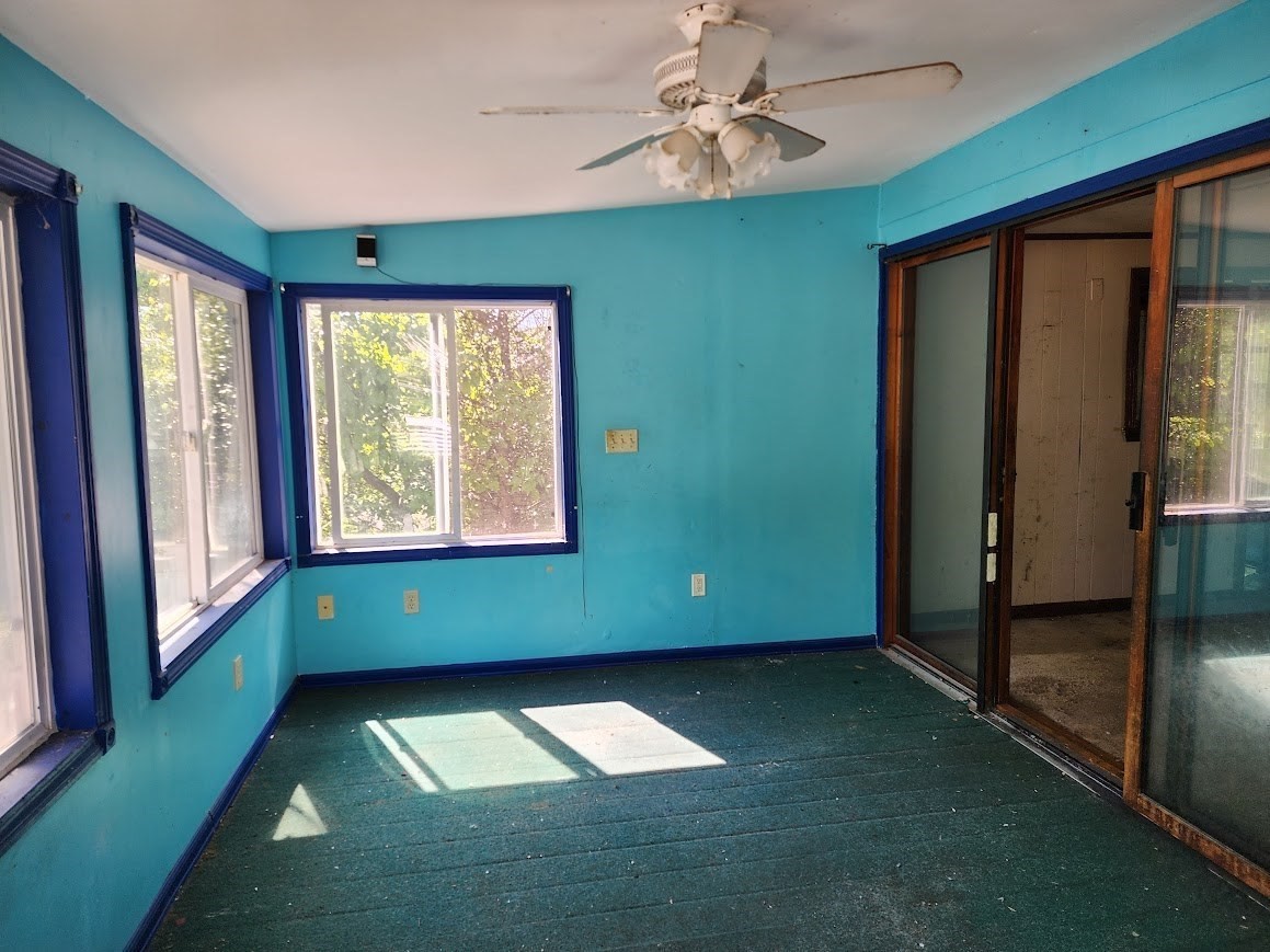 156 Grattan St Property Photo 20
