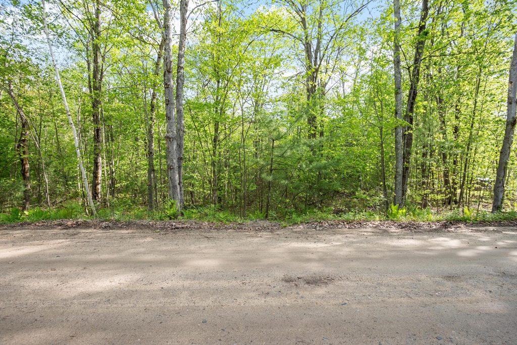 0 Whitney Rd Property Photo 2