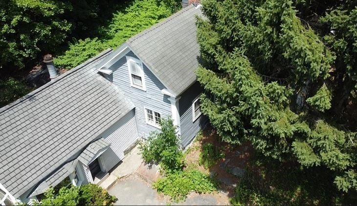 9 Olive Street Property Photo 2