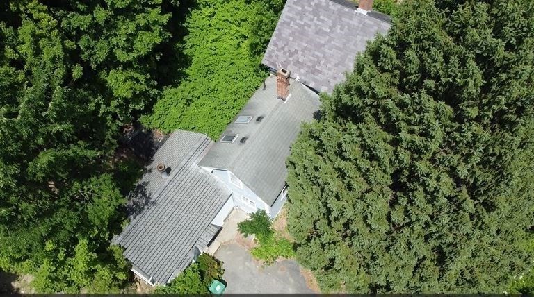 9 Olive Street Property Photo 6