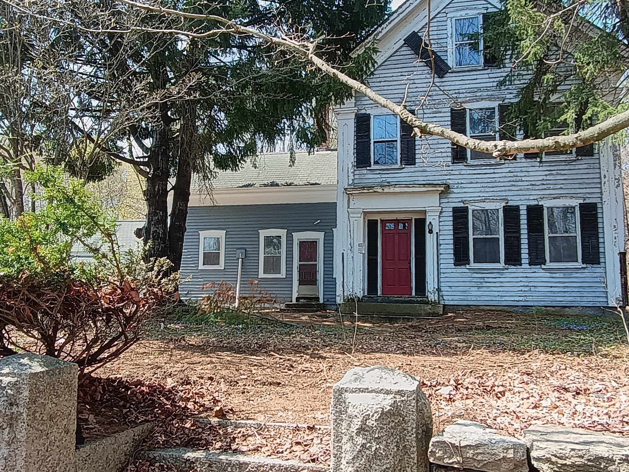 9 Olive Street Property Photo 9